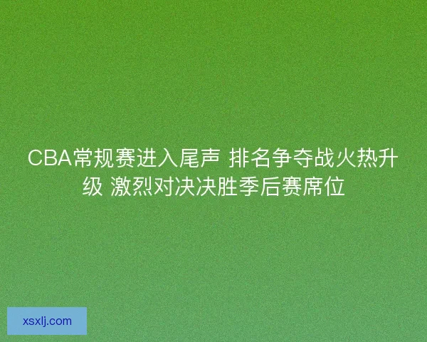 CBA常规赛进入尾声 排名争夺战火热升级 激烈对决决胜季后赛席位